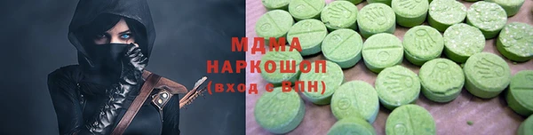 индика Богородицк